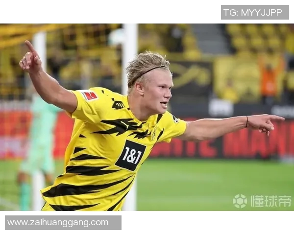 哈兰德胜率预测分析数据模型揭秘未来表现走势